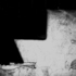 Tj_leaf