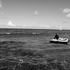 Dream_raft