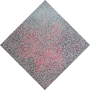021509+