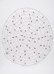 Acocoil ,Mari Andrews