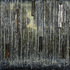 Zapp_rainforest_1_