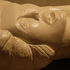 Figure_detail_2_med_res