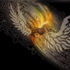 20110224003759-the_angel_cometh
