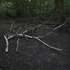 Highgate_tribe91
