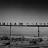 Axsalton1_2546
