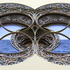 Dioscuri_3_detail