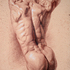 Gadino_sepiatorso