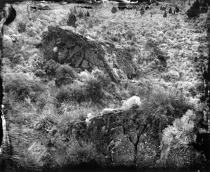 Crack_in_the_ground_
