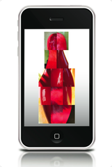 Seeing Is Forgetting iphone app,Alison Wright