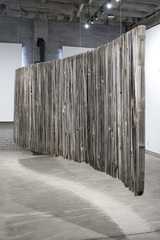 Vertical Beauty,Randy Rushton