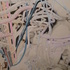 Dscn0795