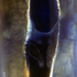 Black_light3