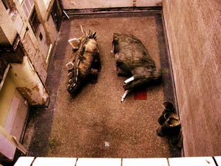 Dinosaurs in the courtyard,