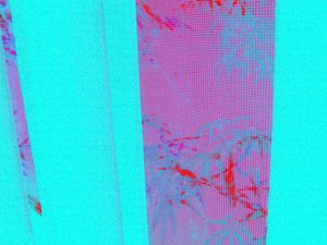 Vent
