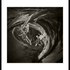 Reese_drew_5_vortex