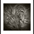 Whorl