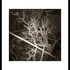 Abstraction