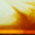 Weinerben_corn_syrup