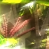 Loveseat_still