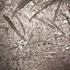 Paigegreen-4site610-071