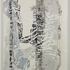 George_pfau_ribcage2