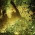 20120815185553-haunt_2011_401