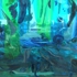 4_aquarium_detail-300dpi