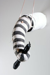 "Toughy",Jennifer McNeely