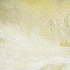 Detail_2_white_sands