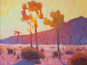 The_western_sky