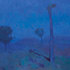 Joshua-tree-at-night