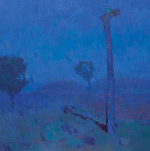 Joshua-tree-at-night