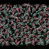 Fishygatheringiii_sm_