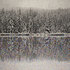 Dh_-colorado-snow-effect-6_-2008_-137-x-183-cm-hd