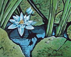 Pond_lily