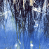 A_reeds