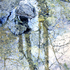 E_reflection