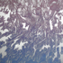 Roni_feldman_-_silver_lining