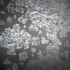 Roni_feldman_-_lucent_embrace-1