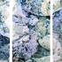 J_tidepoolstudy