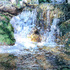 K_ferncreek
