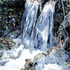 L_creekstudy