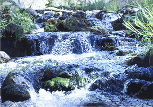 O_sierra-creek