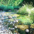 Papermillcreek