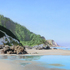 T_pacific-coast