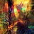 Enchanted_forest