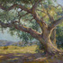 Heritage_oak_30x40