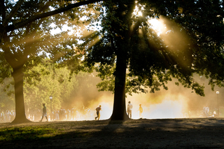 The Mall, Central Park, September 2009,Rebecca Yale