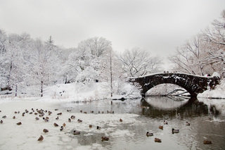 The Pond, Central Park, February 2010,Rebecca Yale
