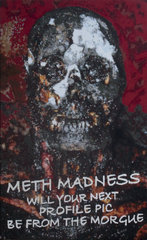 Meth Madness,Donald Rizzo